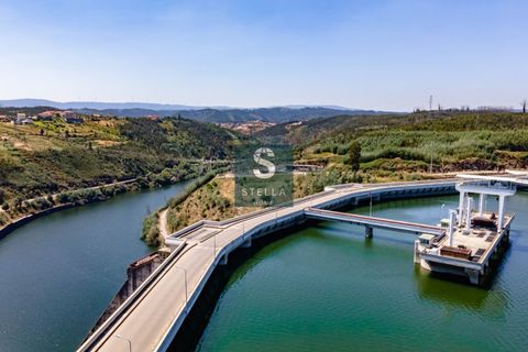 Helårsgrund i Mortagua, Viseu, Mortagua - € 35.000 | Ref: SH0042-2024 - foto 6