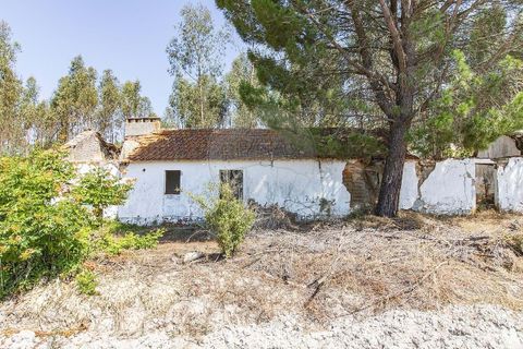 Villa i Coruche, Santarem, Coruche - € 120.000 | Ref: 120611304-972 - foto 2