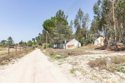 Villa i Coruche, Santarem, Coruche - € 120.000 | Ref: 120611304-972 - foto 3