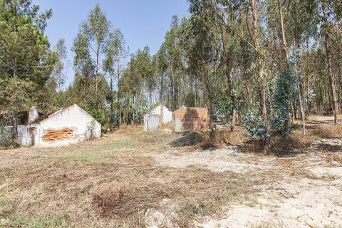 Villa i Coruche, Santarem, Coruche - € 120.000 | Ref: 120611304-972 - foto 4