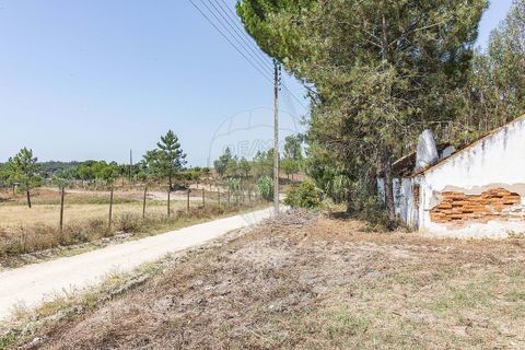 Villa i Coruche, Santarem, Coruche - € 120.000 | Ref: 120611304-972 - foto 5