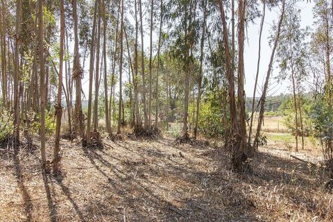 Villa i Coruche, Santarem, Coruche - € 120.000 | Ref: 120611304-972 - foto 8