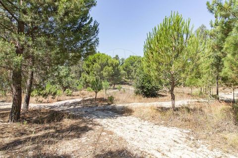Villa i Coruche, Santarem, Coruche - € 120.000 | Ref: 120611304-972 - foto 10