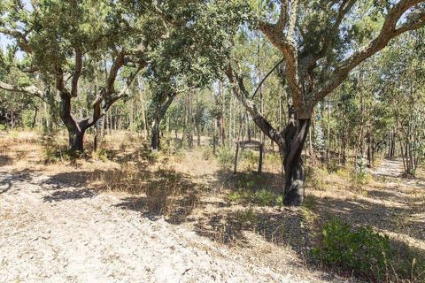 Villa i Coruche, Santarem, Coruche - € 120.000 | Ref: 120611304-972 - foto 12