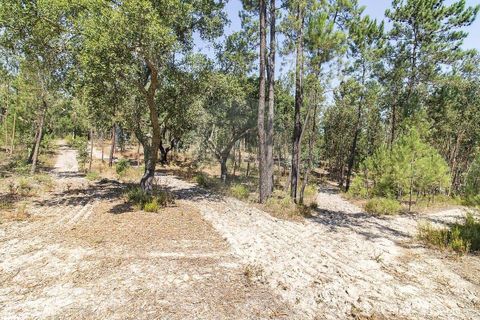 Villa i Coruche, Santarem, Coruche - € 120.000 | Ref: 120611304-972 - foto 13