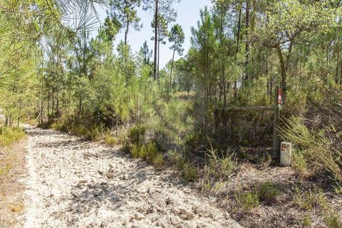 Villa i Coruche, Santarem, Coruche - € 120.000 | Ref: 120611304-972 - foto 14