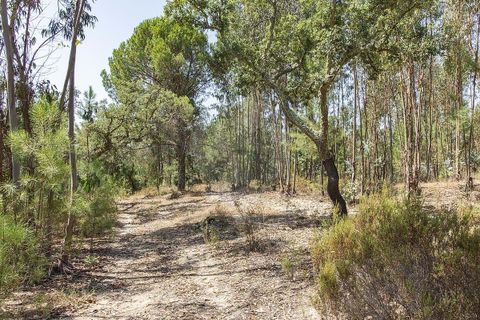 Villa i Coruche, Santarem, Coruche - € 120.000 | Ref: 120611304-972 - foto 15