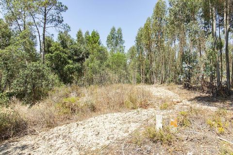 Villa i Coruche, Santarem, Coruche - € 120.000 | Ref: 120611304-972 - foto 16