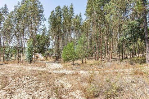 Villa i Coruche, Santarem, Coruche - € 120.000 | Ref: 120611304-972 - foto 17