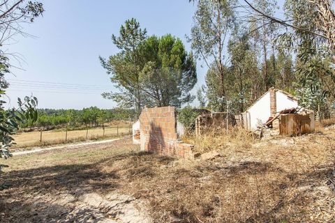 Villa i Coruche, Santarem, Coruche - € 120.000 | Ref: 120611304-972 - foto 18