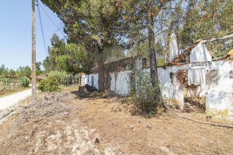 Villa i Coruche, Santarem, Coruche - € 120.000 | Ref: 120611304-972 - foto 19