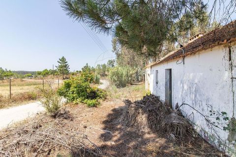 Villa i Coruche, Santarem, Coruche - € 120.000 | Ref: 120611304-972 - foto 20