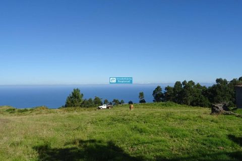 Helårsgrund i Ponta do Pargo, Madeira, Ponta do Pargo - € 220.000 | Ref: 1514 - foto 2