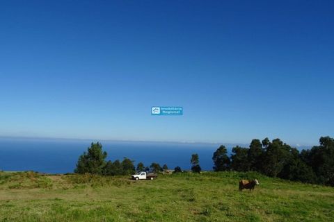 Helårsgrund i Ponta do Pargo, Madeira, Ponta do Pargo - € 220.000 | Ref: 1514 - foto 3