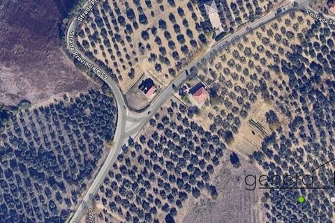 Terra a Moscufo, Pescara, Moscufo - € 105.000 | Ref: G200924 - foto 2