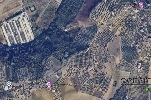 Terra a Moscufo, Pescara, Moscufo - € 105.000 | Ref: G200924 - foto 3