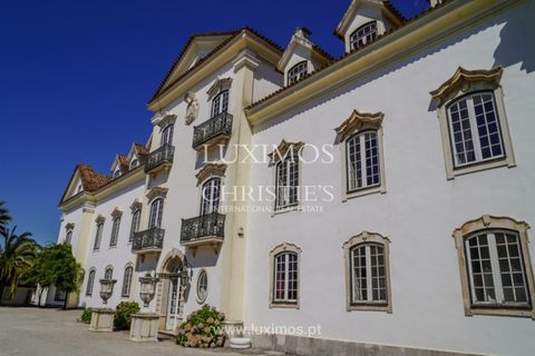 Farm i Agueda, Aveiro, Agueda - € 7.000.000 | Ref: LS05247 - foto 17