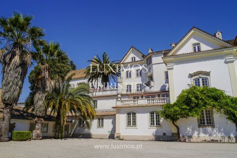 Farm i Agueda, Aveiro, Agueda - € 7.000.000 | Ref: LS05247 - foto 21