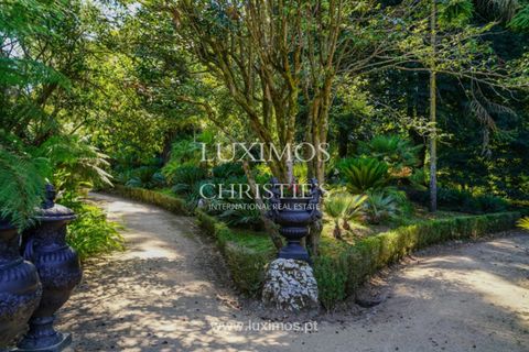 Farm i Agueda, Aveiro, Agueda - € 7.000.000 | Ref: LS05247 - foto 22