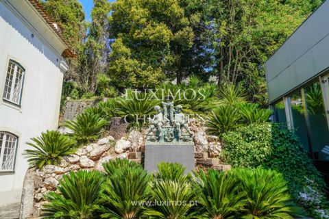Farm i Agueda, Aveiro, Agueda - € 7.000.000 | Ref: LS05247 - foto 23