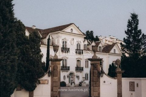 Farm i Agueda, Aveiro, Agueda - € 7.000.000 | Ref: LS05247 - foto 25