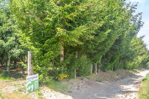 Terra a Bigorne, Viseu, Bigorne - € 90.000 | Ref: LMG_3924 - N - foto 2