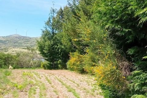 Terra a Bigorne, Viseu, Bigorne - € 90.000 | Ref: LMG_3924 - N - foto 4
