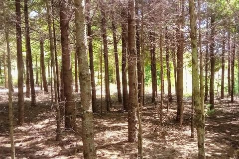 Terra a Bigorne, Viseu, Bigorne - € 90.000 | Ref: LMG_3924 - N - foto 9