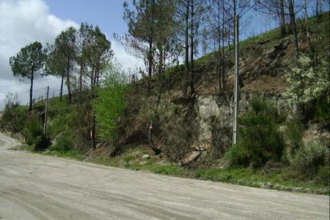 Helårsgrund i Vieira do Minho, Braga, Vieira do Minho - € 7.500 | Ref: 237080149 - foto 6