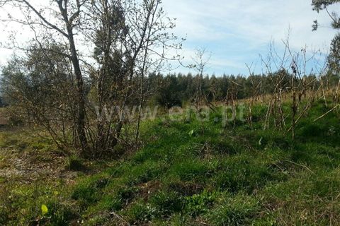 Helårsgrund i Guimaraes, Braga, Guimaraes - € 65.000 | Ref: 237190099 - foto 6