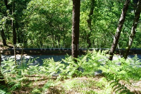 Helårsgrund i Guimaraes, Braga, Guimaraes - € 5.000 | Ref: 237190131 - foto 2
