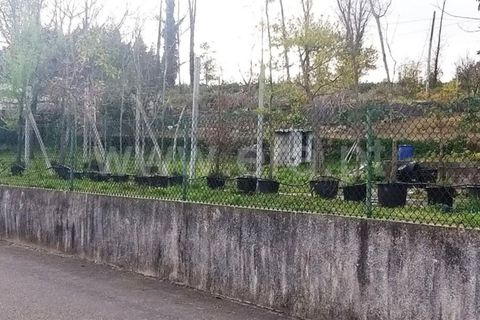 Terra a Guimaraes, Braga, Guimaraes - € 95.000 | Ref: 237210026 - foto 2