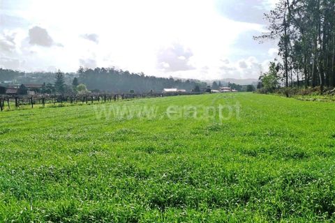 Helårsgrund i Barcelos, Braga, Barcelos - € 165.000 | Ref: 237230008 - foto 3
