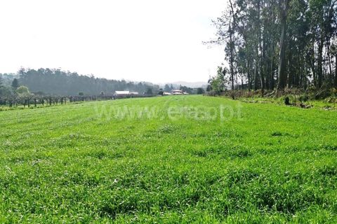Helårsgrund i Barcelos, Braga, Barcelos - € 165.000 | Ref: 237230008 - foto 4