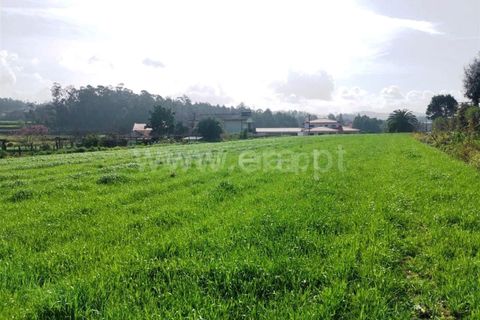 Helårsgrund i Barcelos, Braga, Barcelos - € 165.000 | Ref: 237230008 - foto 5