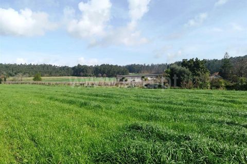 Helårsgrund i Barcelos, Braga, Barcelos - € 165.000 | Ref: 237230008 - foto 8