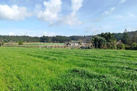 Helårsgrund i Barcelos, Braga, Barcelos - € 165.000 | Ref: 237230008 - foto 9