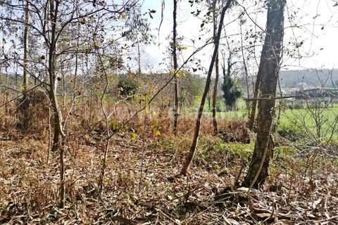 Helårsgrund i Barcelos, Braga, Barcelos - € 165.000 | Ref: 237230008 - foto 11