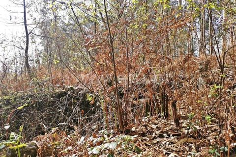 Helårsgrund i Barcelos, Braga, Barcelos - € 165.000 | Ref: 237230008 - foto 13
