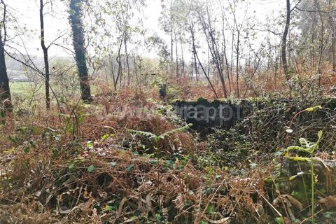 Helårsgrund i Barcelos, Braga, Barcelos - € 165.000 | Ref: 237230008 - foto 14