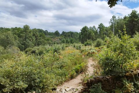 Helårsgrund i Chaves, Vila Real, Chaves - € 25.000 | Ref: 237230051 - foto 4