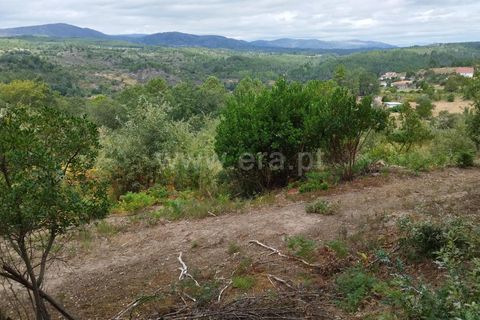 Helårsgrund i Chaves, Vila Real, Chaves - € 25.000 | Ref: 237230051 - foto 5