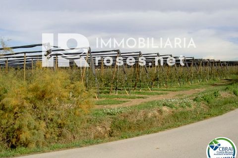 Grundstück in Sant Pere Pescador, Gerona - Foto 3