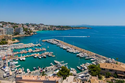Villa a Palma De Mallorca, Mallorca, Palma De Mallorca - € 3.500.000 | Ref: SWOPAL2333 - foto 18