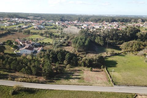 Helårsgrund i Leiria, Leiria, Leiria - € 345.000 | Ref: DHL117 - foto 15