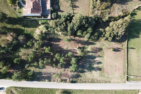 Helårsgrund i Leiria, Leiria, Leiria - € 345.000 | Ref: DHL117 - foto 17