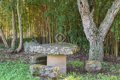 Landejendom i Calonge, Gerona, Calonge - € 2.300.000 | Ref: PDA55081 - foto 19