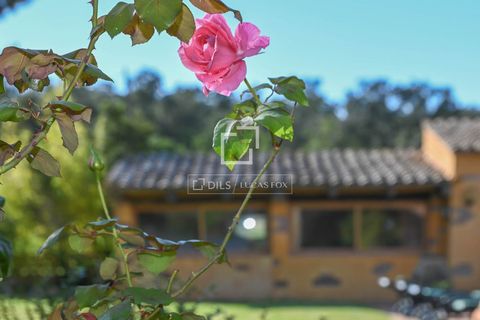 Landejendom i Calonge, Gerona, Calonge - € 2.300.000 | Ref: PDA55081 - foto 20