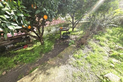 Villa i Portalegre, Portalegre, Portalegre - € 127.500 | Ref: JG2344 - foto 18