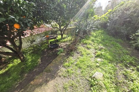 Villa i Portalegre, Portalegre, Portalegre - € 127.500 | Ref: JG2344 - foto 19